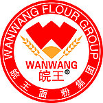 皖王LOGO