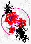 花纹