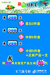 化妆品海报