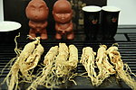 人参