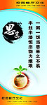 餐厅文化 思索