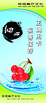 餐厅文化 细心