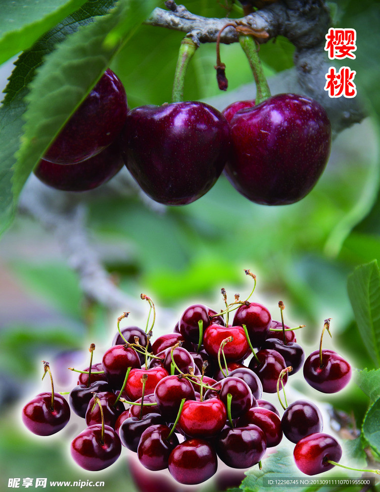 樱桃