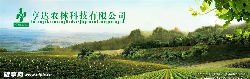 葡萄园