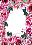 花样相框