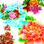 各种花 牡丹