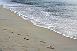 沙滩 海滩 海边 海