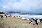 沙滩 人群 海