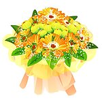 菊花花束flash