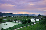 湿地公园