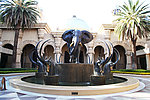 南非 大象 雕塑