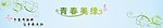 绿色花纹