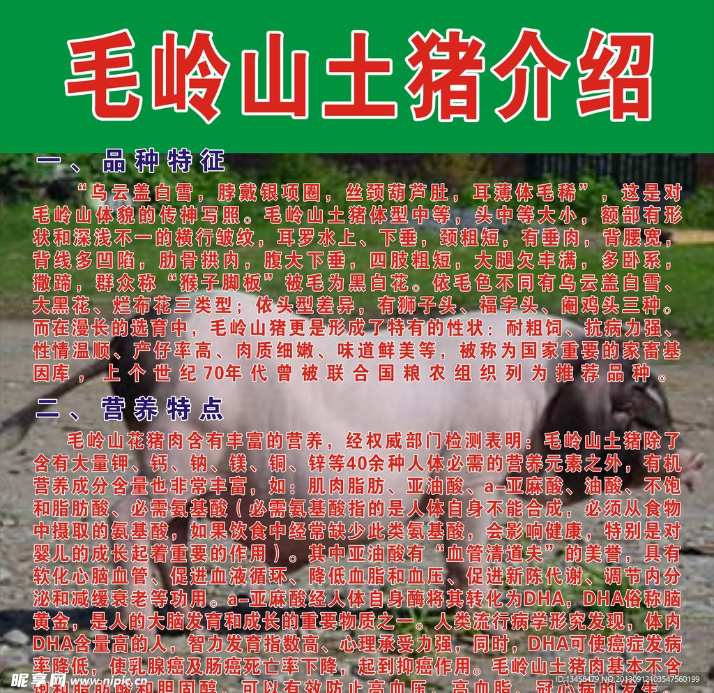 野猪介绍