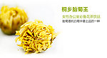 菊花茶淘宝页
