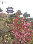 嵩县卧龙谷