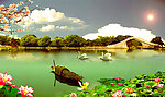 秋意 风景