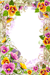 花样相框