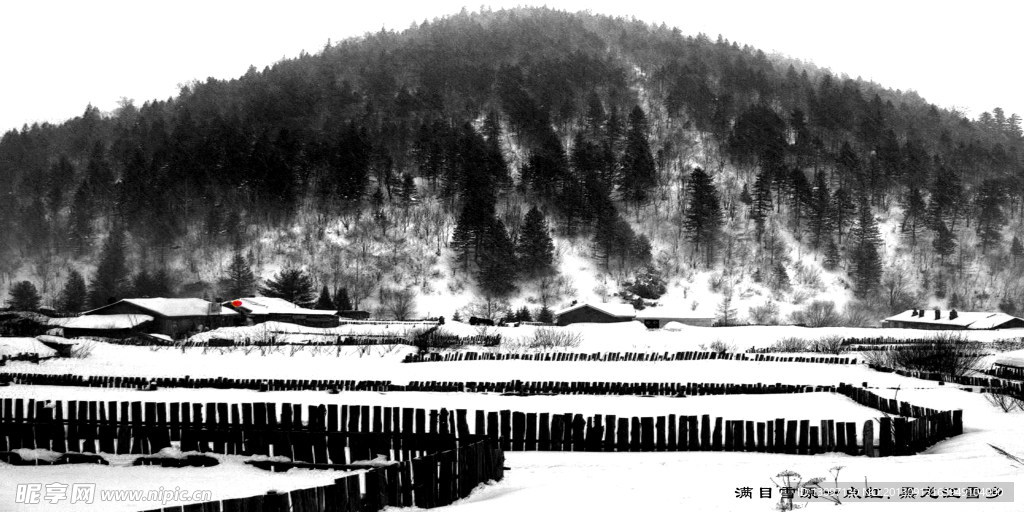 黑龙江雪景