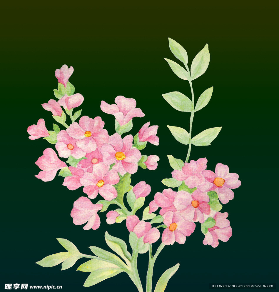 粉红一枝花