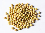 种子 黄豆 豆 食品