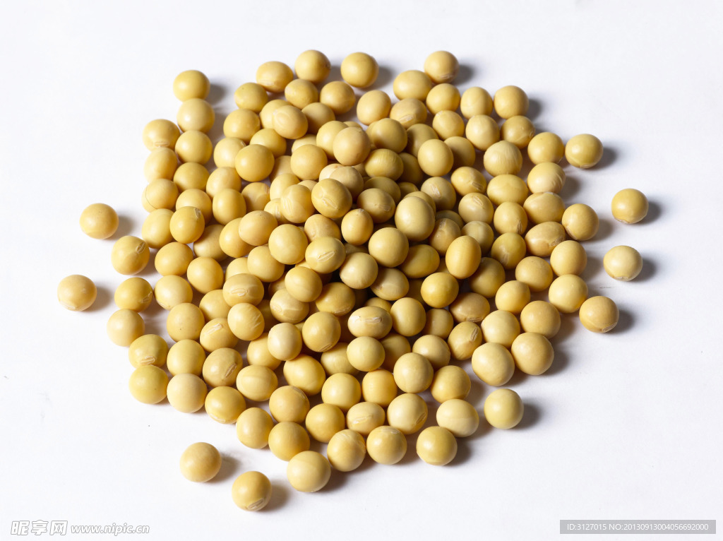 种子 黄豆 豆 食品