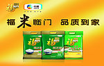 大米广告 福米 中联