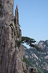 黄山