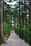黄山