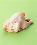 生鸡肉