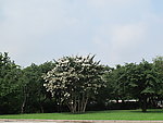 春暖花开