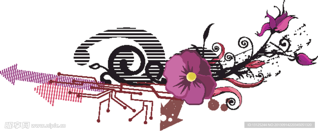 花纹 线条 曲线