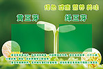豆芽价格牌