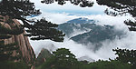 黄山云雾