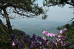 庐山风光