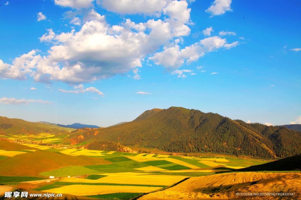 魅力卓尔山