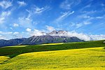 祁连卓尔山
