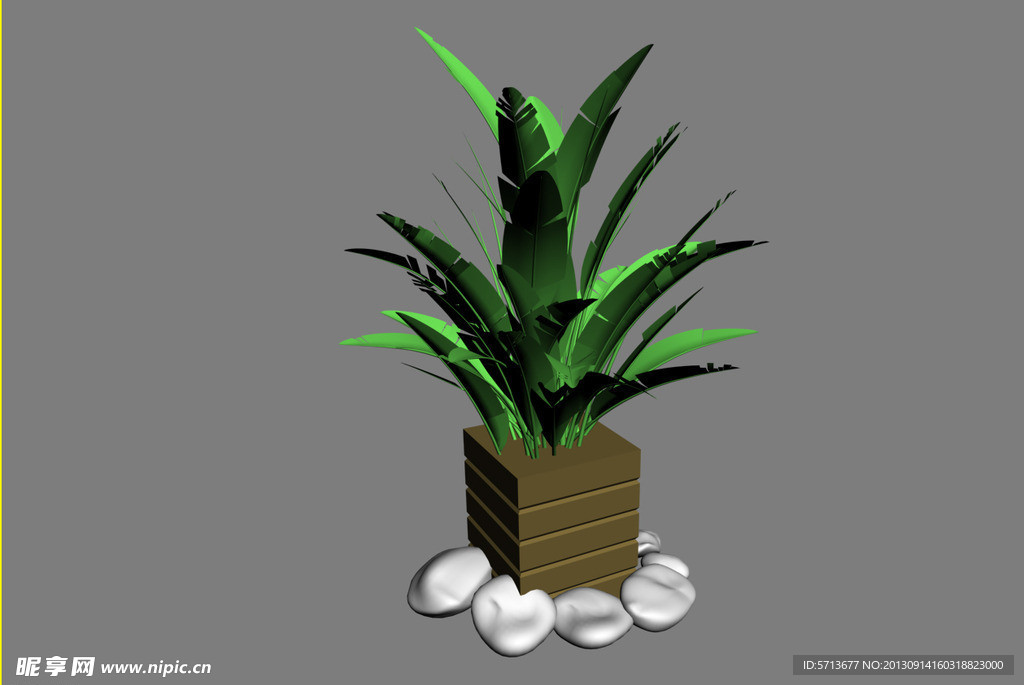 植物模型
