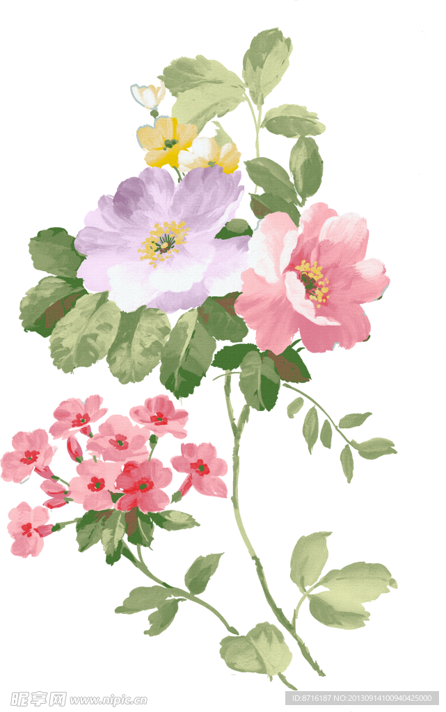 手绘花卉