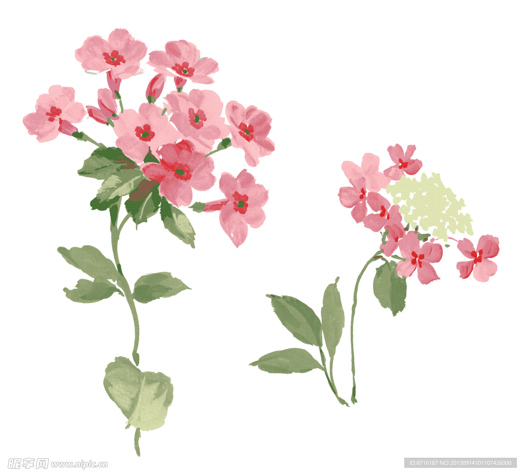 手绘花卉