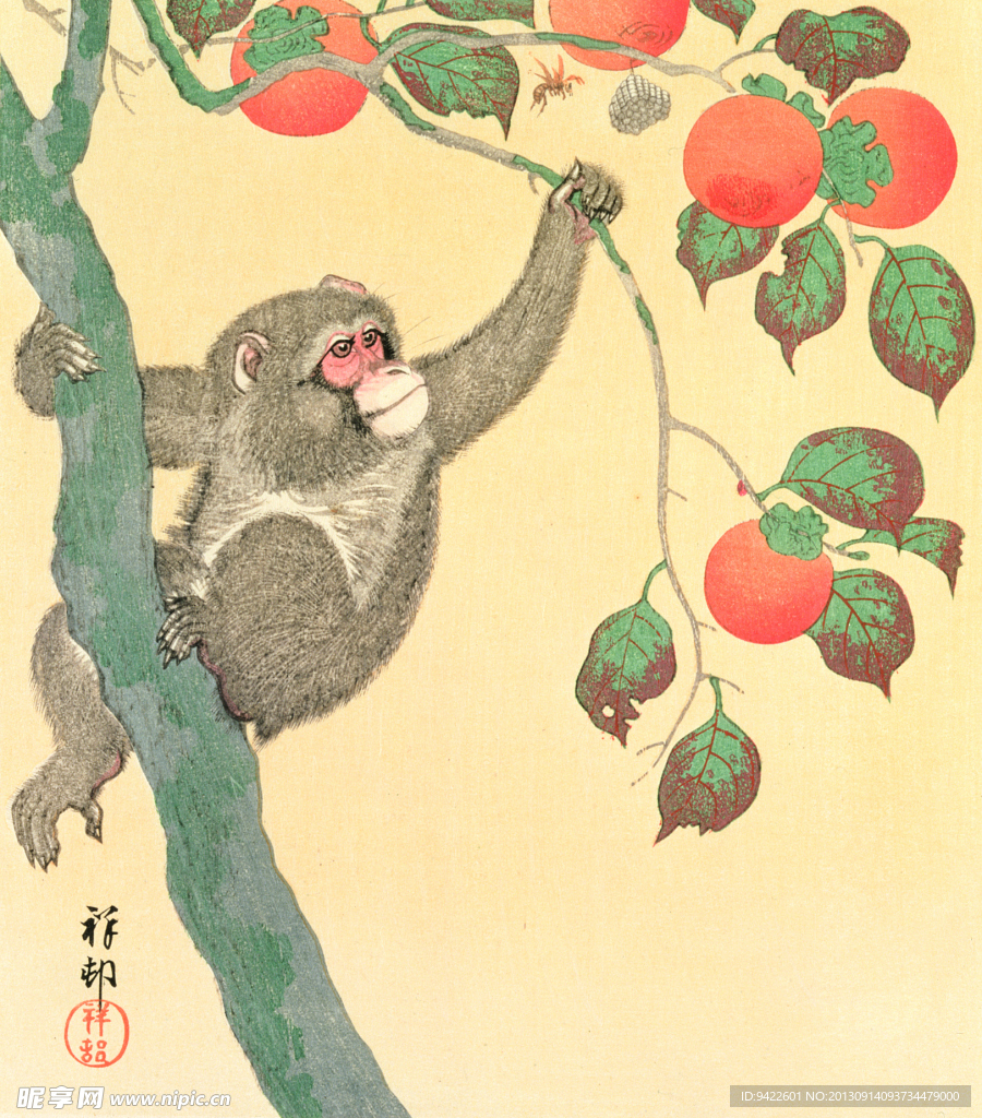绘画猴