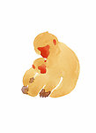 绘画猴