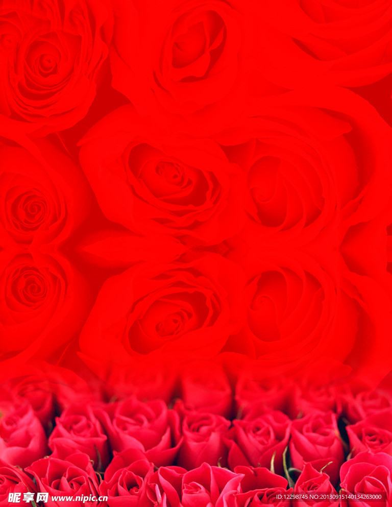 红色玫瑰底纹