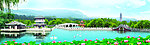 西湖 西湖美景
