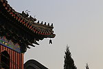 白云观