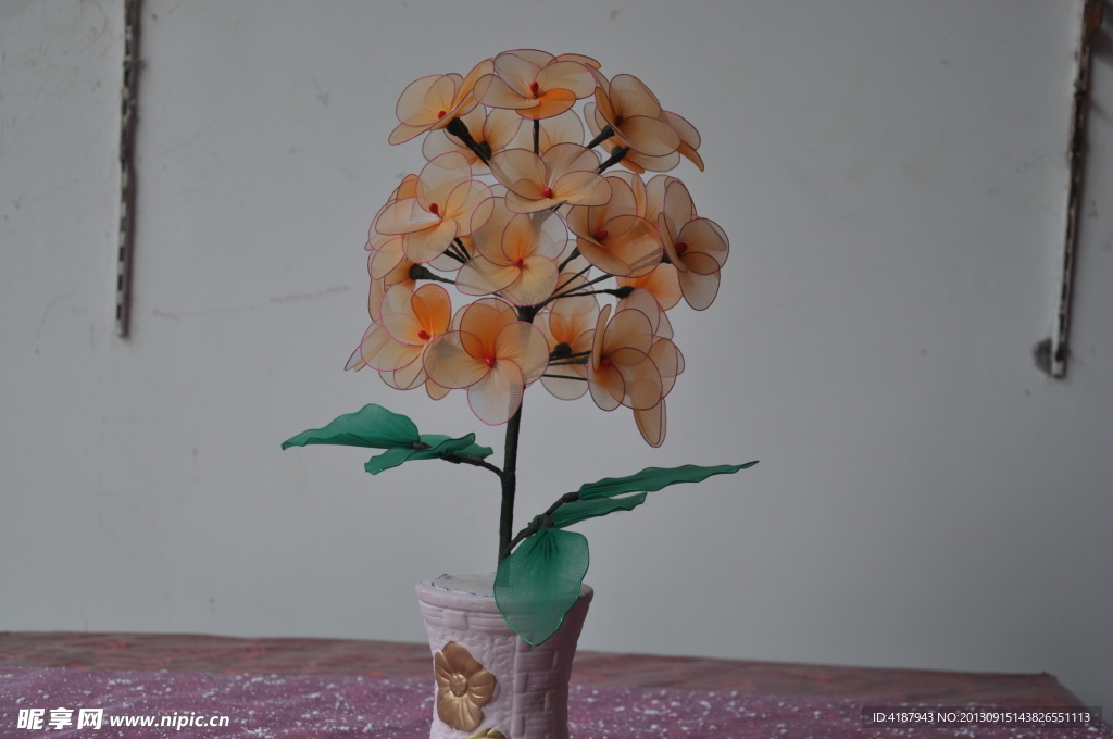 绣球花