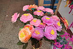 牡丹花