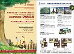 房地产DM宣传彩页