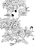 花鸟图