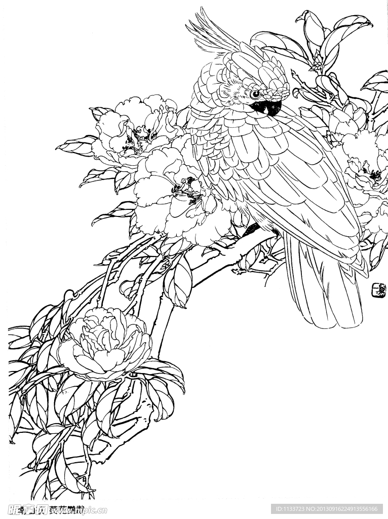 花鸟图