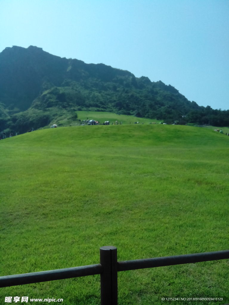 绿草